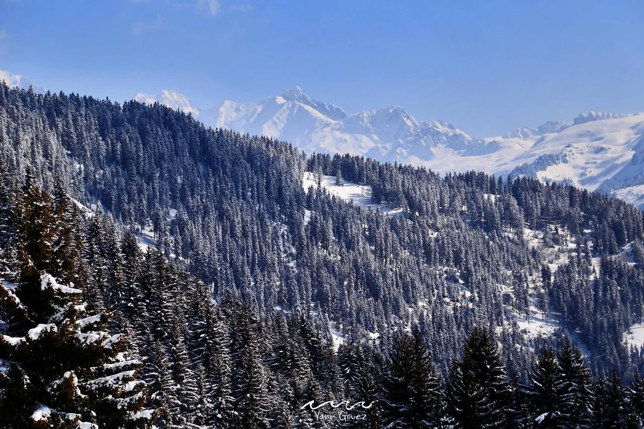 Les Saisies - La Perle Des Alpes Apartment